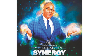 Synergy by Michael Vincent